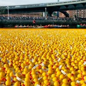 La ría de Bilbao se llena de Patos Solidarios.