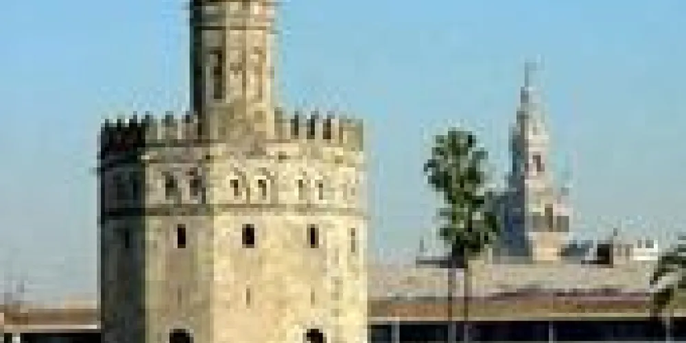 NUEVA OFICINA SURNE EN SEVILLA NUEVA OFICINA SURNE EN SEVILLA