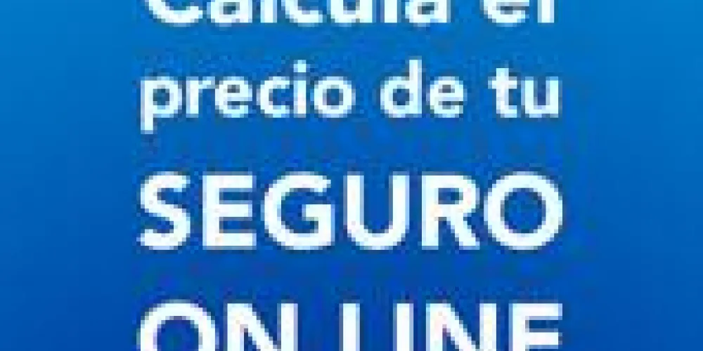 Calcula tu seguro on line Calcula tu seguro on line
