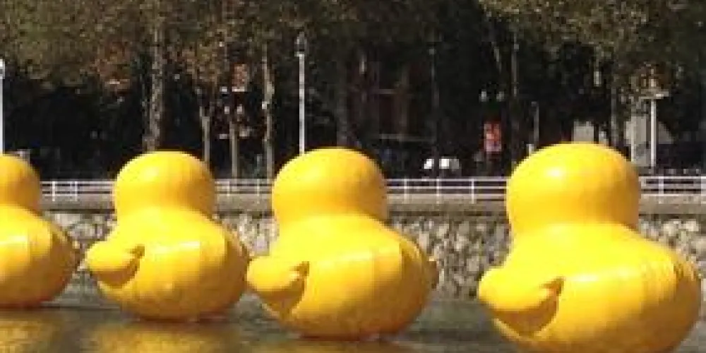 SURNE PATROCINA UNA CARRERA DE PATOS SOLIDARIA SURNE PATROCINA UNA CARRERA DE PATOS SOLIDARIA