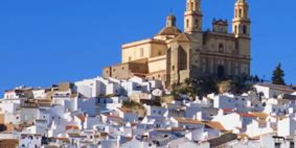 Surne incrementa su negocio en Andalucia y Extremadura Surne incrementa su negocio en Andalucia y Extremadura